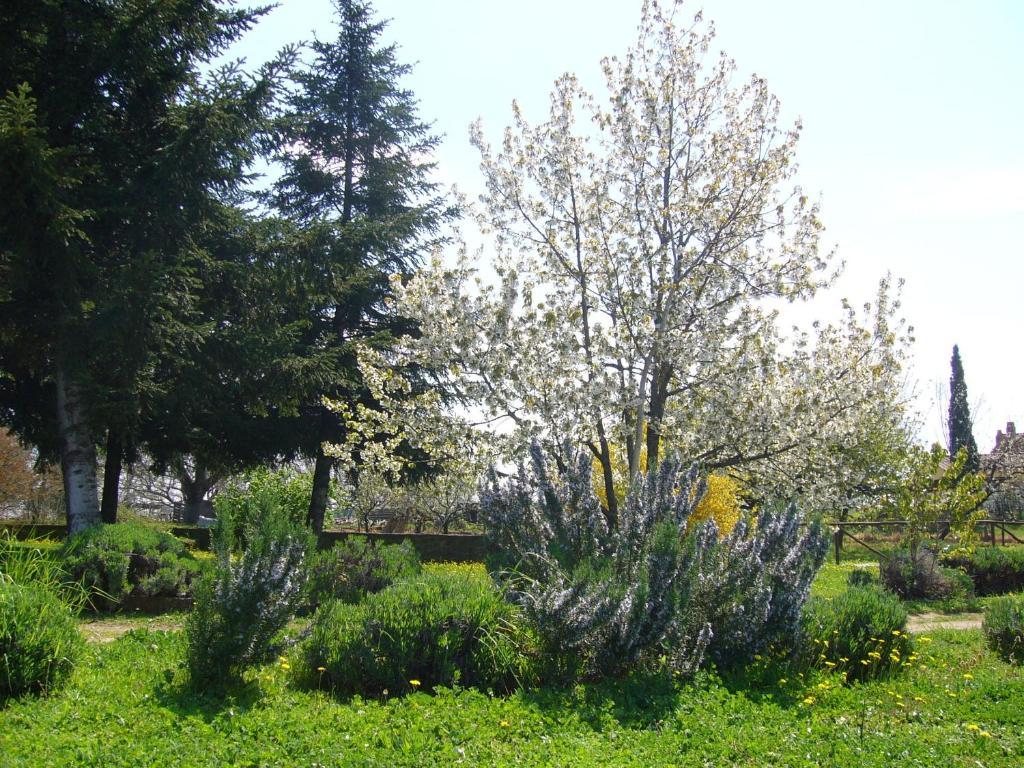 Agriturismo San Giacomo Pitigliano Luaran gambar
