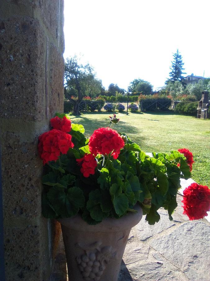 Agriturismo San Giacomo Pitigliano Luaran gambar