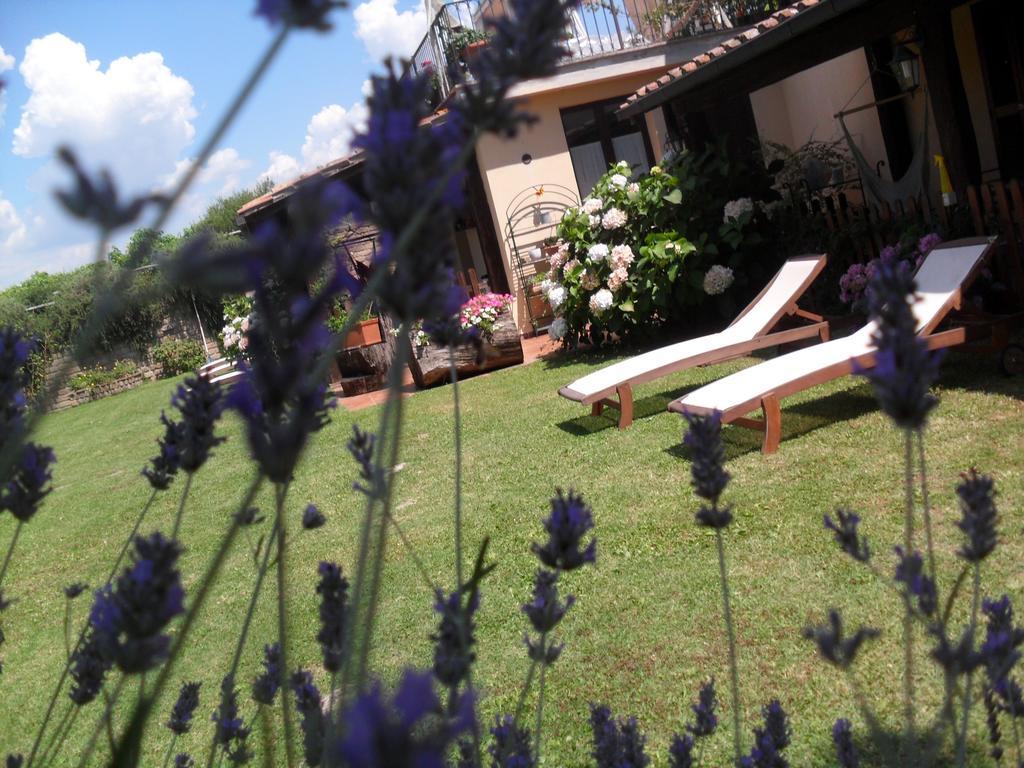 Agriturismo San Giacomo Pitigliano Bilik gambar